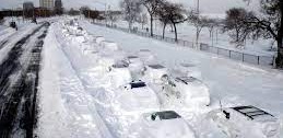 Cars are lined up and covered in snow after the Blizzard of 2011 hit Chicagoland.