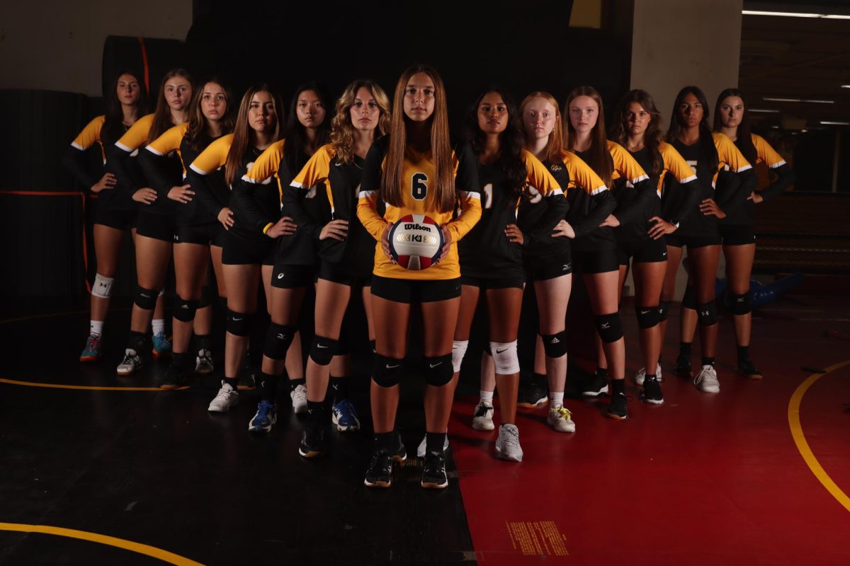 Girls+Varsity+Volleyball+Overview