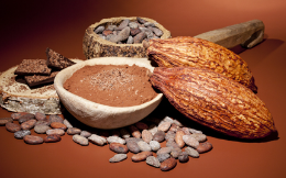 Chocolates 4,000 Year History: