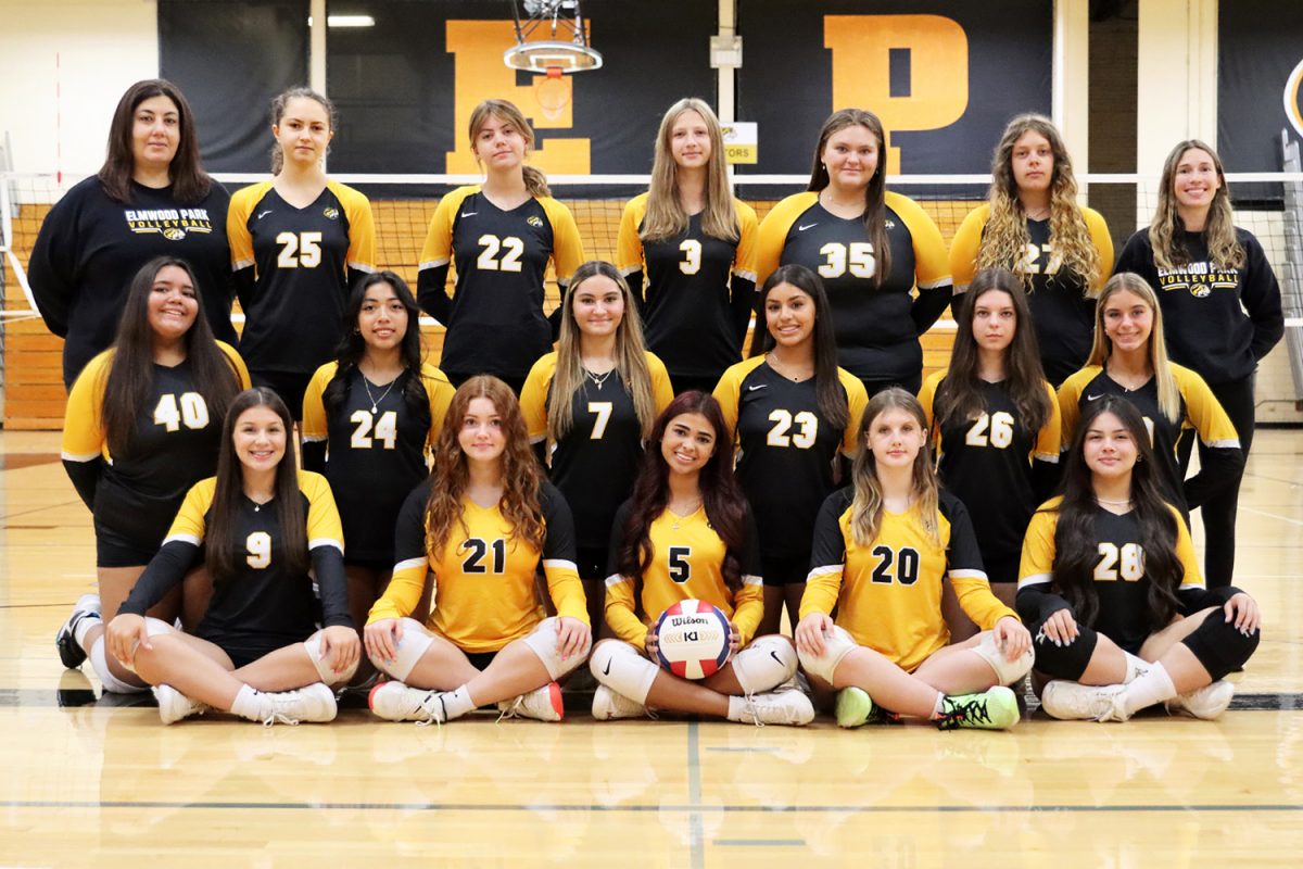 The picture above is the Girls JV Volleyball team (sophomore-junior). This picture was taken in the MAIN gym on Thursday, August 15th, 2024.