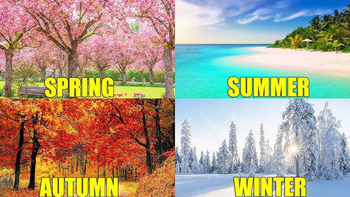  The four seasons. Each season is very different and that’s usually why people have a favorite season. 
