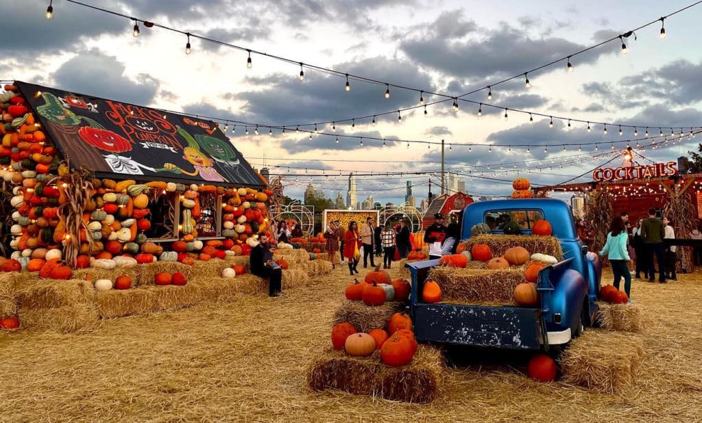 Cute pumpkin patch in Chicago. Perfect for the fall season.