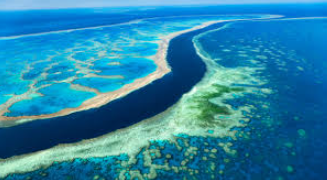 The Great Barrier Reef